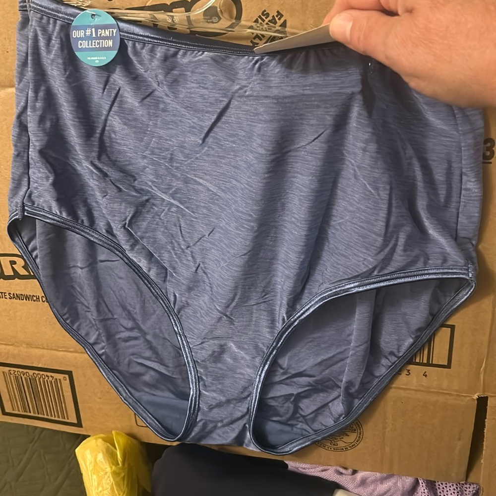 NWT Sz 10/3xl briefs vanity fair